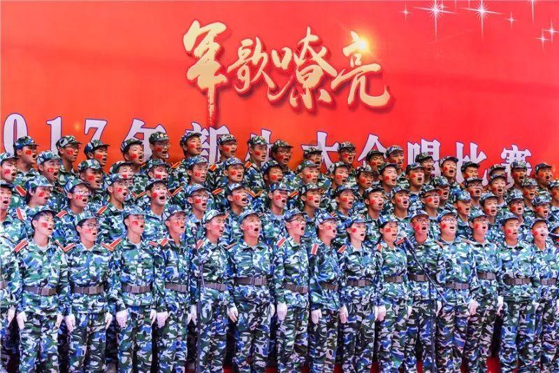 救援有趣的狮子